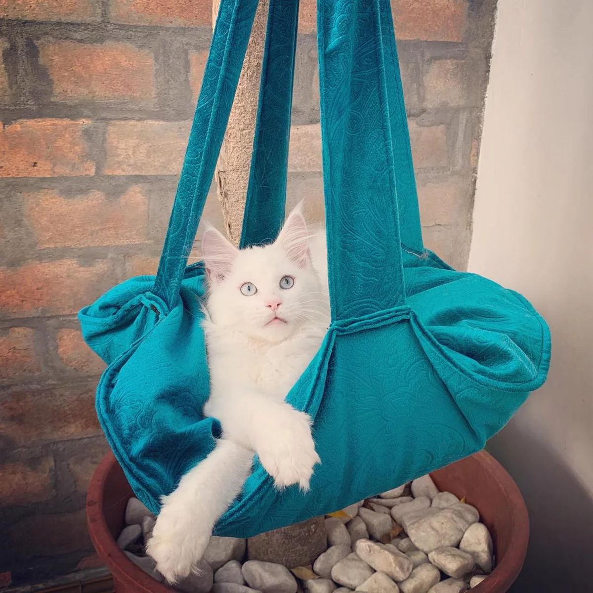 Cama Trapeze suspensa com almofada para gatos