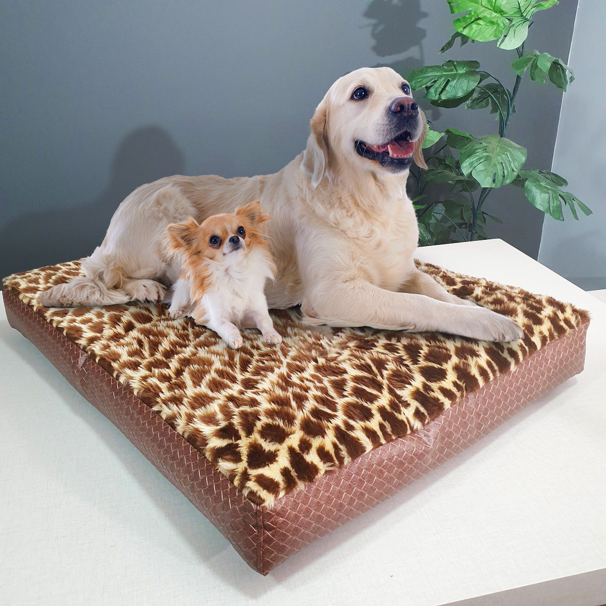 Cama Pet impermeável Absolute Luxo para cães de todos os tamanhos